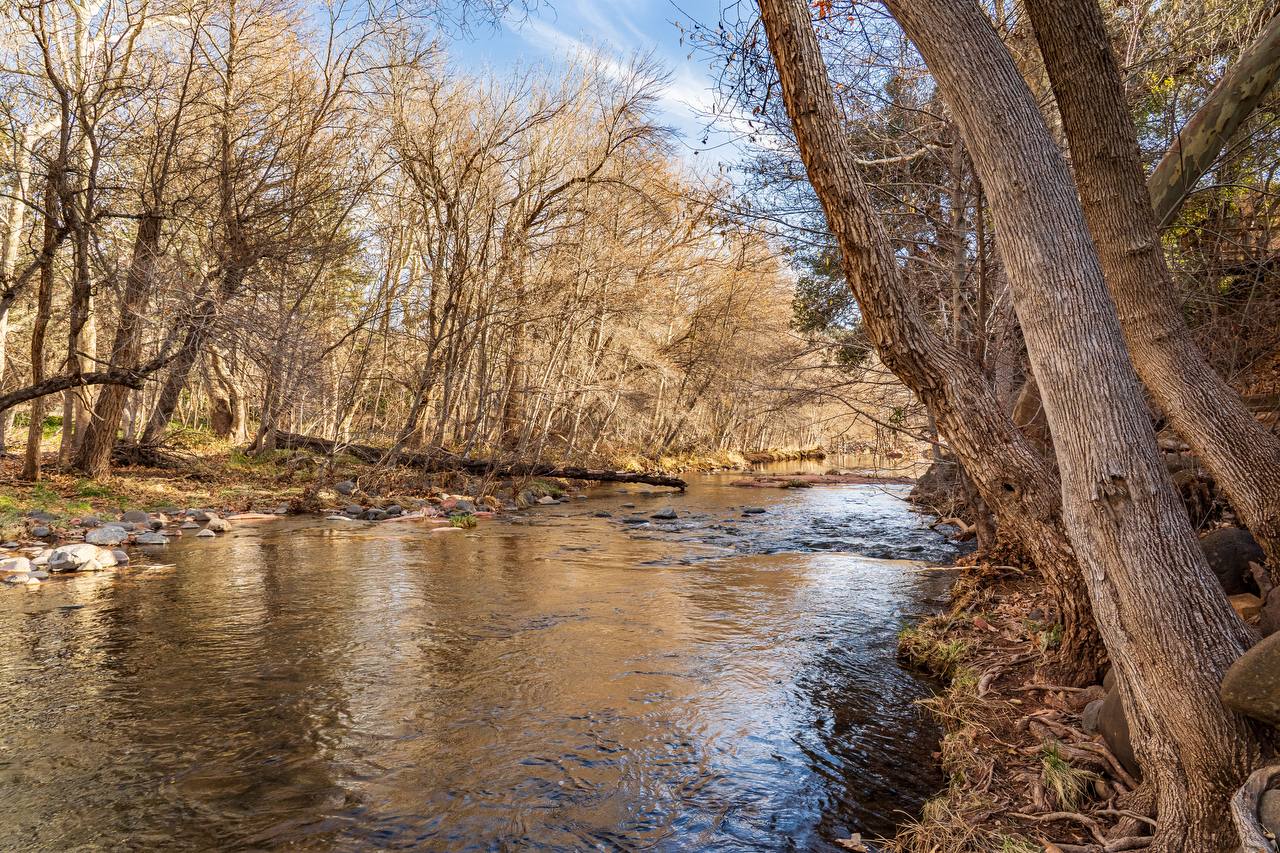 Oak Creek flowing through the trees