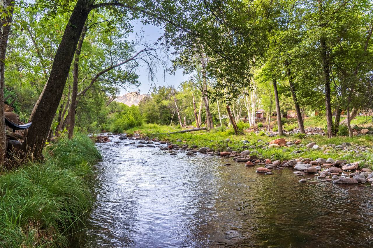 Oak Creek flowing through lush green trees — summer